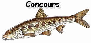 concours goujon