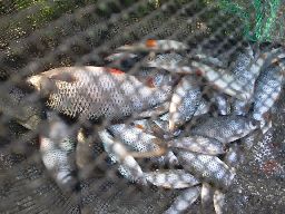 Photo003