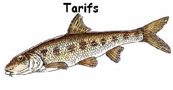 tarifs goujon