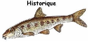 hitorique goujon